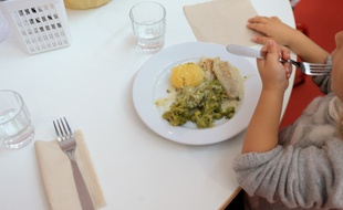 Un enfant à la cantine à Strasbourg. Illustration