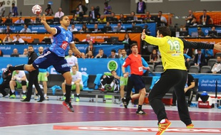Daniel Narcisse lors du match entre la France et la Slovénie le 28 janvier 2014.