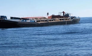 Les posidonies ont été chargées sur une barge et larguées en mer