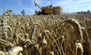 La majorité des agriculteurs et des industriels se sont montrés satisfaits jeudi des décisions du Grenelle de l'Environnment sur la réduction des traitements par les pesticides, mais restent très divisés sur la question des OGM.