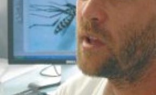 Jean-Baptiste Ferré, entomologiste, surveille de près l'insecte.