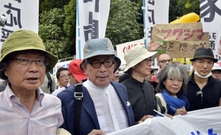 La pétition "Au revoir l'énergie nucléaire" qui vise à rassembler au moins 10 millions de signatures d'ici à la mi-juillet a déjà recueilli 7,23 millions de paraphes, ont annoncé mercredi soir à Tokyo les responsables de l'opération.