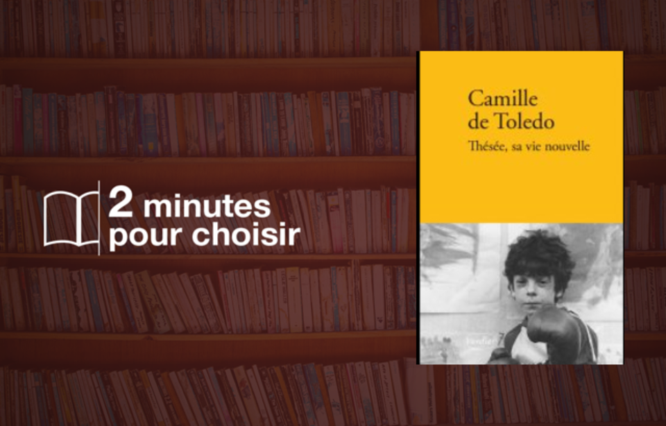 Camille De Toledo Thesee Sa Vie Nouvelle Prix Goncourt (3/4): « Thésée, sa vie nouvelle » dans le labyrinthe