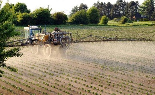 Un agriculteur épand des pesticides sur un champ de pommes de terre, dans le nord de la France, en 2012