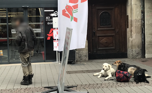Un SDF avec ses chiens devant un supermarché dans le centre-ville de Strasbourg.