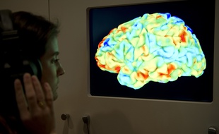 L'image d'un cerveau vu par résonance magnétique fonctionnelle (IRMf) / illustration.
