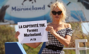Pamela Anderson devant le Marineland d'Antibes