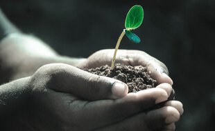 Lancé par six entrepreneurs lyonnais il y a un peu plus d’un an, Time for planet réunit aujourd’hui 7.574 actionnaires et a récolté 1.247.832 euros récoltés.