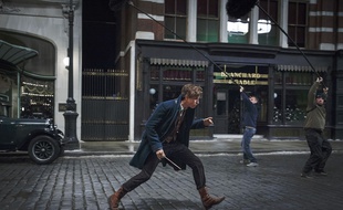 Eddie Redmayne dans «Les Animaux fantastiques», de David Yates.