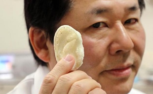 Tsuyoshi Takado, professeur de médecine de l'université de Tokyo montre, dans son laboratoire, une oreille artificielle en acide polylactique, fabriquée grâce à l'impression 3D, le 16 janvier 2015