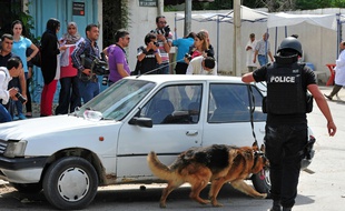 Un chien policier au travail, à Bouchoucha, le 2( mai 2015