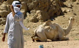 Deux personnes de nationalité brésilienne ont été enlevées dimanche par des bédouins dans la péninsule du Sinaï en Egypte, ce qui constitue le troisième rapt de touristes depuis début février dans cette région, selon des sources sécuritaires.