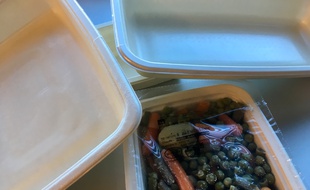 Les nouvelles barquettes biocompostables en cellulose végétale utilisées dans les cantines de Montpellier.
