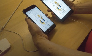 Un iPhone 6S et un 6S Plus.