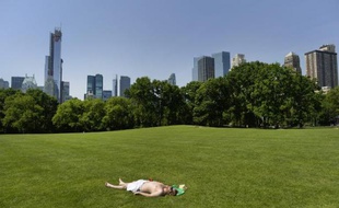 Une vue de Central Park, le 30 mai 2013 à New York