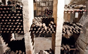 Au château Coutet, qui appartient à la même famille depuis 1680, on n'utilise ni insecticide ni désherbant.