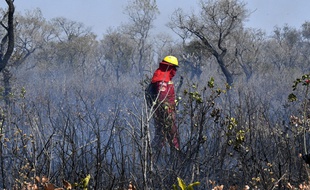 Un pompier essaie de contrôler le feu près de Charagua, en Bolivie à la frontière avec le Paraguay. Un premier bombardier, financé par le G7, a été envoyé jeudi 29 août 2019 au Paraguay pour lutter contre les incendies.