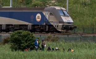 Des migrants sont installés près de l'Eurotunnel, à Coquelles près de Calais, le 29 juillet 2015