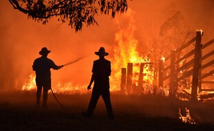 Un homme tente de défendre sa propriété face aux incendies, le 12 novembre 2020 en Australie.