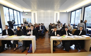 La cour administrative d'appel de Nantes, le 7 novembre 2016