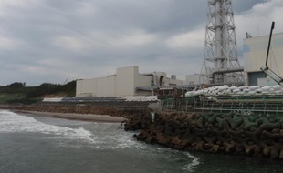 Environ 12 tonnes d'eau radioactive ont fui de la centrale nucléaire accidentée de Fukushima et une partie de ce liquide s'est probablement écoulée dans la mer, a annoncé l'exploitant du site.