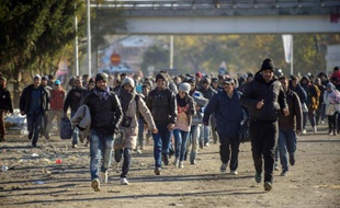 Réfugiés et migrants traversent la frontière entre la Slovenie et l'Autriche à Sentilj, le 3 novembre 2015