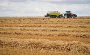 Un tracteur dans un champ de blé (image d'illustration).