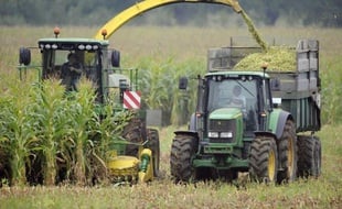 Récolte de maïs dans l'ouest de la France en septembre 2014
