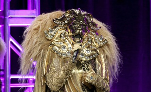 Une célébrité américaine participant à l'émission «The Masked Singer» sur la Fox, 2018