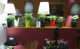 Des pieds de lampes qui font office de pots de fleurs, c'est l'une des idée qui a été récompensée en 2014.