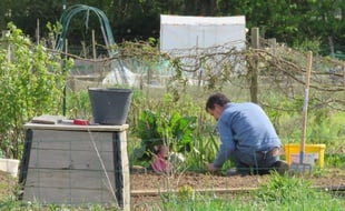 Les associations environnementales réclament un grand plan pour une agriculture vivrière.