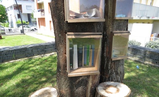 L'arbre à livres, aux Dervallières