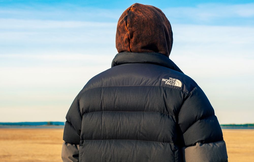 the north face parka homme