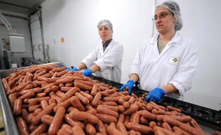 Illustration de saucisses