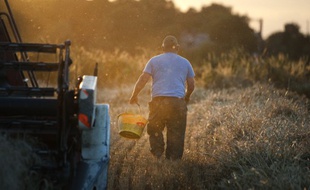 Le Pin, le 14 juin 2014. Un agriculteur récolte dans son champ à la tombée du soir.