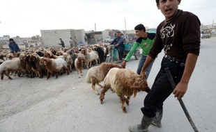 Le médiateur international Lakhdar Brahimi a annoncé mercredi avoir obtenu l'accord du régime et de chefs rebelles pour une trêve en Syrie pendant la fête musulmane d'Al-Adha qui débute vendredi, mais le scepticisme prévaut quant à sa mise en oeuvre.