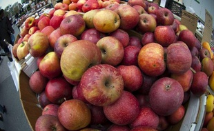 Pour 45% des sondés, consommer local permet de préserver le goût des aliments et favorise la création d'emplois régionaux - FRANCES M. ROBERTS/NEWSCOM/SIPA