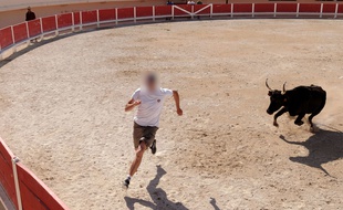 Une course camarguaise (illustration)