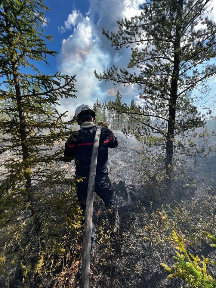 Des pompiers français sont partis au Canada pour aider les locaux dans leur lutte contre les incendies géants. 