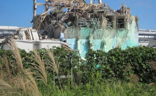 Tepco doit débourser des centaines de milliards de yens (milliards d'euros) pour dédommager les personnes et entreprises affectées par l'accident survenu à la centrale nucléaire de Fukushima à la suite du violent séisme et de l'effroyable tsunami du 11 mars.