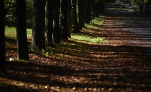Bois de Vincennes, à Paris.
