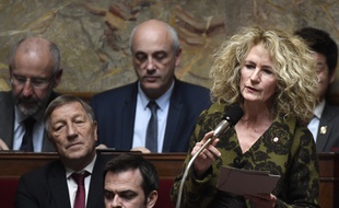 La députée LREM Martine Wonner dans l'hémicycle, le 14 novembre 2017.