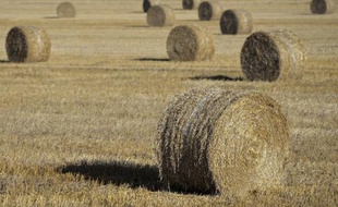 Une fillette de 4 ans et demi qui avait été percutée par une grosse botte de foin ronde ayant échappé à un agriculteur qui la manipulait avec un engin dimanche après-midi à Yzeron dans le Rhône, est décédée