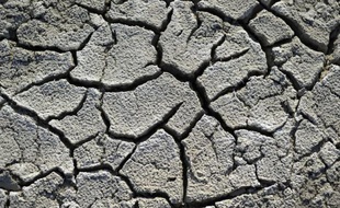 Le réchauffement climatique est responsable de la multiplication par cinq des épisodes de records de température enregistrés à travers le monde.