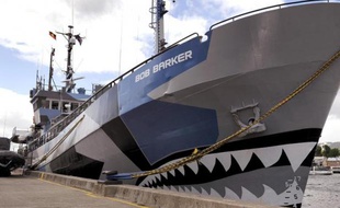 L'organisation écologiste Sea Shepherd a accusé dimanche les baleiniers japonais d'avoir volontairement percuté l'un de ses navires dans l'océan Austral lors d'une confrontation "agressive" et "non provoquée".