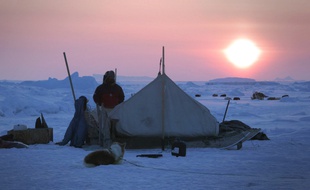Sur la banquise dans Il était une fois l'Arctique.
