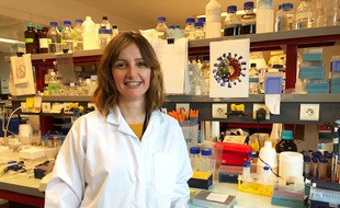 Sandrine Bélouzard, chercheuse au CNRS et à l'Institut Pasteur de Lille.