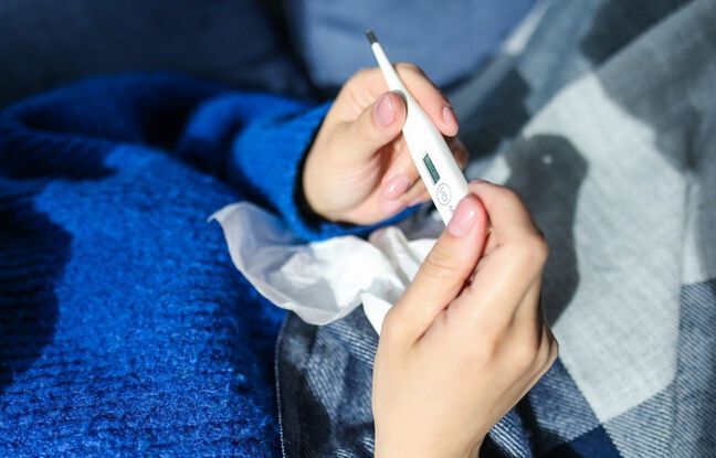 Grippe : L'épidémie augmente toujours en France, malgré un ralentissement