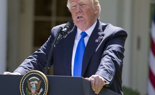 Le président américain Donald Trump a rassuré ses alliés de l'OTAN lors d'une conférence presse dans la Roseraie de la Maison Blanche, le 9 juin 2017.