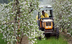 Un arboriculteur traite ses pommiers en fleurs le 9 avril 2008 à Lamanon, dans les Bouches-du-Rhône.